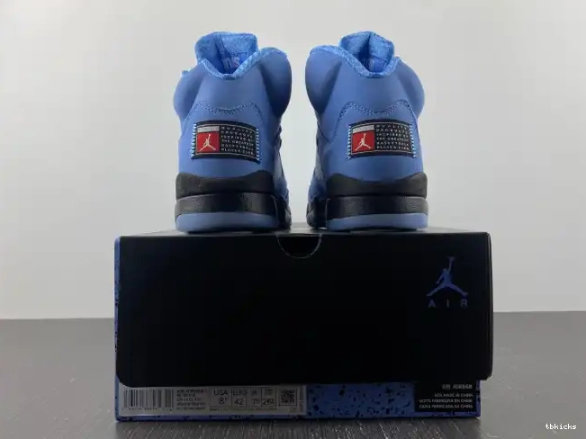 Reps TBK UNC Jordan 5 Air DV1310-401 0531